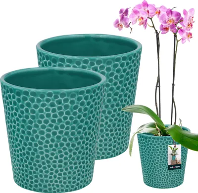 Produktbild von KOTARBAU® Sada 2 kvetináčov tyrkysová glazovaná keramika ⌀ 9,5 cm Výška: 11 cm Kvetináč na orchideu keramický kvetináč keramický kvetináč keramický kvetináč keramický kvetináč kvetináč moderný kvetináč izbové rastliny