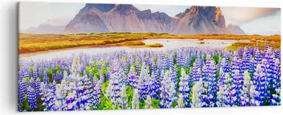 Produktbild von Bild auf Leinwand - Leinwandbild - Berge Wiese Blumen - 140x50cm - Wand Bild - Wanddeko - Leinwanddruck - Bilder - Kunstdruck - Wanddekoration - Leinwand bilder - Wandkunst - AB140x50-4114