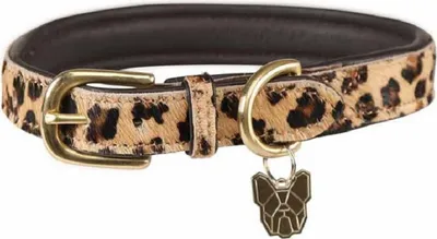 Immagine prodotto di Digby & Fox - Collare per cani, motivo Leo, pelle di vacchetta ER1642 (XXL - Collo: 56 cm-64 cm) (Marrone/Nero)