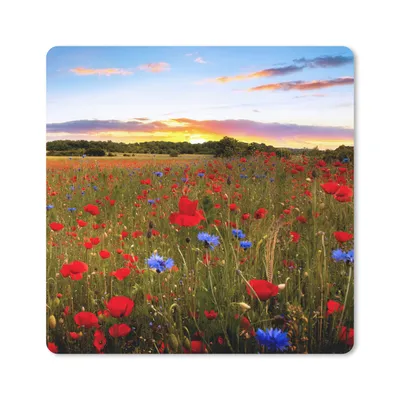 Produktbild von MuchoWow® Mauspad Mousepad Blumen - Sonnenuntergang - Farben 30x30 cm - Mousepads - Maus Mat - Pad - Mausunterlage - Gaming
