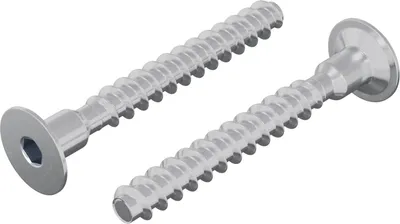 Image de Vis 2 pcs Zincé 5 x 40 mm Fer