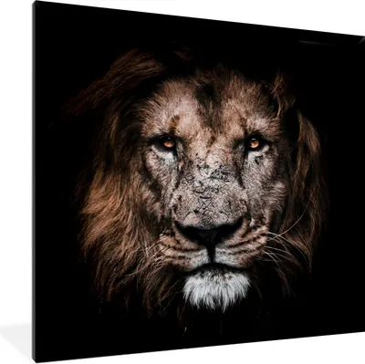 Produktbild von MuchoWow® Gerahmtes Poster Löwe - Tiere - Schwarz 40x40 cm - Poster mit Schwarzem Bilderrahmen Wandposter Rahmen Foto Bilder - Mit Rahmen - Wanddekoration Schlafzimmer