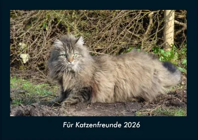 Zdjęcie produktu dla Dla miłośników kotów Fotokalendarz 2026 - format poziomy DIN A4, kalendarz miesięczny z motywami zdjęciowymi zwierząt domowych, hodowlanych, dzikich i drapieżnych