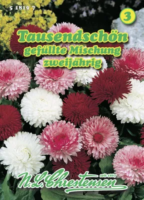 Produktbild von Tausendschön gefüllte Mischung | Blumensamenmischung von N.L. Chrestensen