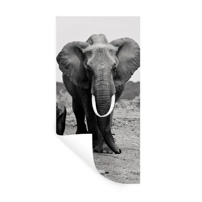 Produktbild von MuchoWow® Wandtattoo Wandsticker Wandaufkleber Elefant - Kind - Schwarz - Weiß 60x120 cm Selbstklebend und Repositionierbar - Selbstklebend - Fototapeten