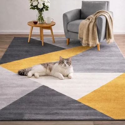 A cat is lying on a geometric patterned rug in a living room setting, with a chair and side table visible.