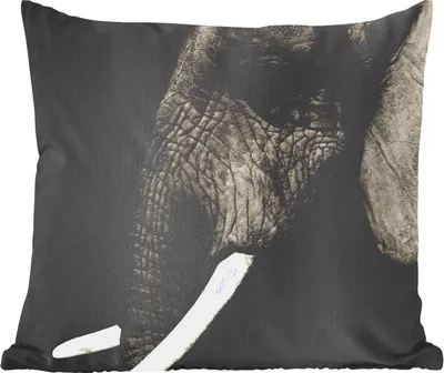 Produktbild von MuchoWow® Zierkissen Sofakissen Wohnzimmer Dekokissen 50x50 cm Elefant - Grau - Schwarz - Komfort - Sofakissen