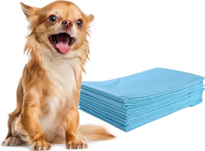 Imagen del producto de 300 unidades de almohadillas absorbentes para el entrenamiento de perros, con 5 capas y dimensiones de 60 x 40 cm