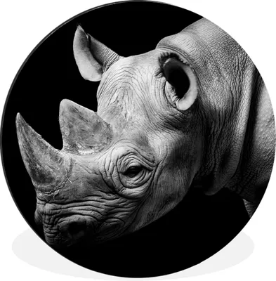 Produktbild von MuchoWow® Aluminium Wandkreis Tiere - Nashorn - Schwarz - Weiß - Porträt Ø 90 cm Wanddeko Modern Wohnzimmer - Mauerkreis - Wandbilder - Runde Bild - Bild aus Aluminium - Schlafzimmer - Wohnzimmerdekoration - Wand Dekoration