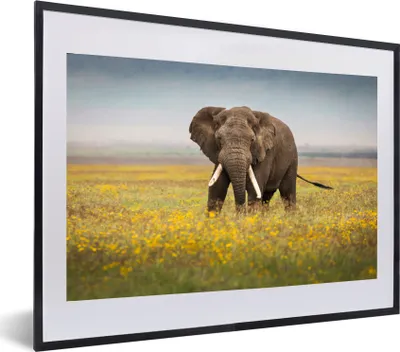 Produktbild von MuchoWow® MuchoWow® Gerahmtes Poster Elefant - Blumen - Gras - Tiere - Natur 60x40 cm - Poster mit zchwarzem Bilderrahmen - Schlafzimmer - Plakat in Rahmen - Drucken