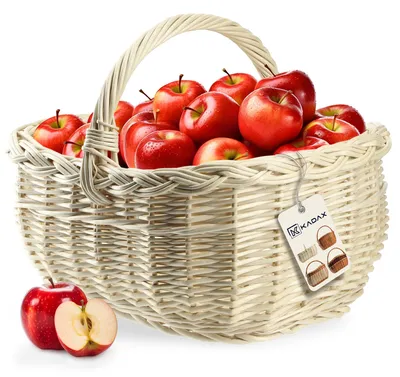 Obrázok produktu pre KADAX prútený košík na huby, oválny košík na nákup, robustný piknikový košík s rukoväťou (biely, 36x28x27cm)