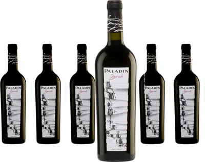Produktbild von 6 x Paladin Syrah