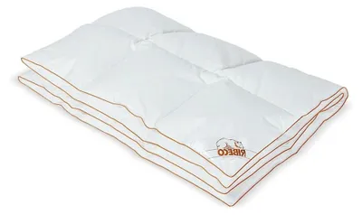 Produktbild von Bettdecke Daune Ella leicht 135 x 200 cm