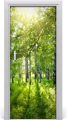 Produktbild von Tulup Türaufkleber 85x205 cm Dekorative Aufkleber Selbstklebend Wasserdichte Tapete Abnehmbar Schlafzimmer Wohnzimmer Wohnkultur - Birkenwald