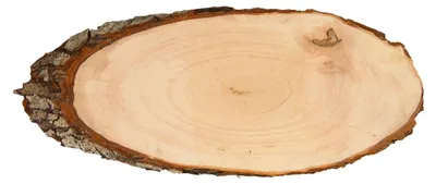 Produktbild von Machen Sie Ihre eigene Namensschildbärke, 30 cm
