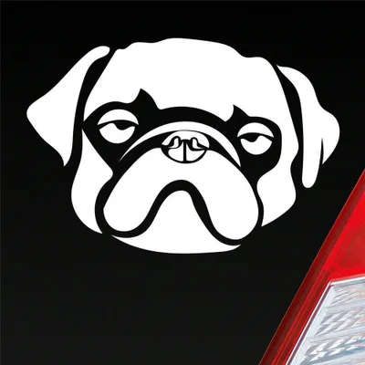 Produktbild von Auto Aufkleber süsser Mops Hund Dog Tier niedlich Puppy Kopf 13x9 cm Weiss Glanz Sticker Heckscheibenaufkleber