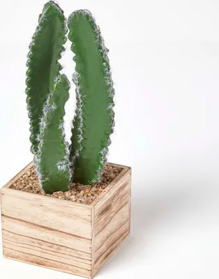 Obrázek produktu pro HOMESCAPES Umělý sloupovitý kaktus v dřevěném květináči z MDF, výška 33 cm