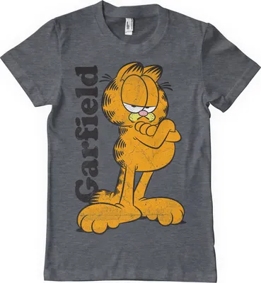 Produktbild von Garfield T-Shirt - XX-Large - DarkHeather