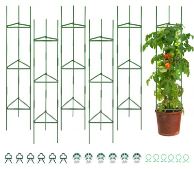 Immagine prodotto di Supporti per piante da 120 cm - 6 pezzi, ausili per piante rampicanti da giardino
