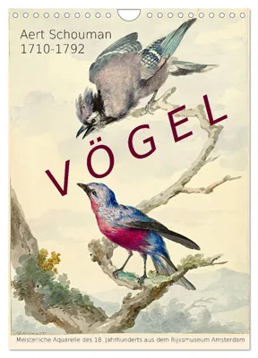 Produktbild von Aert Schouman. VÖGEL (Wandkalender 2027 DIN A4 hoch), CALVENDO Monatskalender