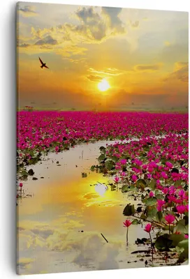 Produktbild von Bild auf Leinwand - Leinwandbild - Einteilig - See Blumen - 50x70cm - Wand Bild - Wanddeko - Wandbilder - Leinwanddruck - Kunstdruck - Wanddekoration - Leinwand bilder - Wandbild - PA50x70-3769