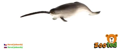 Immagine prodotto di Narvalo unicorno, giocattolo in plastica, 20 cm