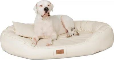 Produktbild von Orthopädisches Hundebett LENNART VISCO PLUS Kunstleder - Größe: 140x105cm | Farbe: 05 Creme