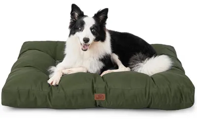 Produktbild von Hundekissen L 91x68cm grün gepolstert 10cm Höhe waschbar Oxford-Gewebe