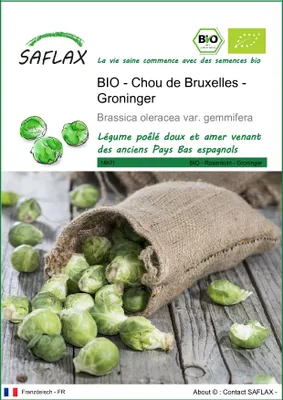 Image de SAFLAX  -- Chou de Bruxelles - Groninger - 30 graines - Brassica