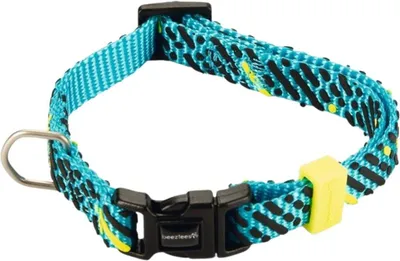 Produktbild von Beeztees Memphis - Hundehalsband - Nylon - Hellblau - 20-30 cm x 10 mm
