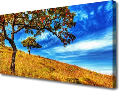 Produktbild von Tulup Leinwand-Bilder 100x50 Wandbild Canvas Kunstdruck Wiese Bäume Natur