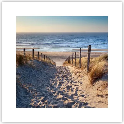 Produktbild von Poster - Poster ohne Rahmen - Meer Strand Düne - 30x30 cm - Wand Bild - Wanddeko - Wandbilder - Kunstposter - Wandposter - Bilder - Kunstdruck - Wanddekoration - Wandbild - P2XAC30x30-3612