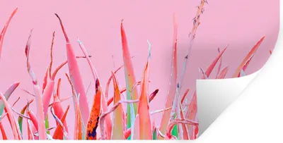 Produktbild von MuchoWow® Wandtattoo Wandsticker Wandaufkleber Sommer - Pflanzen - Pastell 160x80 cm Selbstklebend und Repositionierbar - Sticker - Dekorfolie