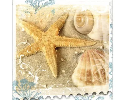 Produktbild von Glasbild Out Of The Sea I 30x30 cm