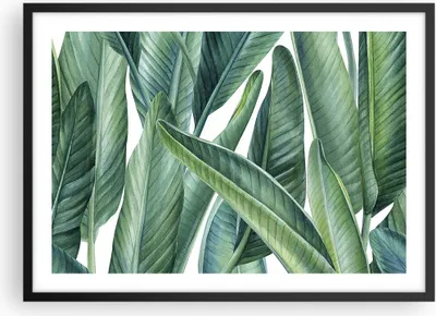 Produktbild von Gerahmtes Poster - Schwarzer Rahmen - Exotisch Blätter Grün - 70x50 cm - Wand Bild - Wanddeko - Wandbilder - Kunstposter - Wandposter - Bilderrahmen - Bilder - Kunstdruck - Wandbild - P2BAA70x50-4258