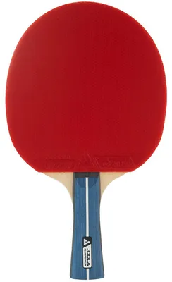 Immagine prodotto di Racchetta da ping-pong JOOLA Team Premium
