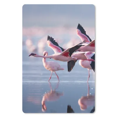 Produktbild von MuchoWow® Mauspad Mousepad Flamingo - Vogel - Wasser - Rosa 18x27 cm - Mousepads - Maus Mat - Pad - Mausunterlage