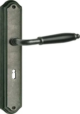 A door handle set with a backplate and a lever handle.