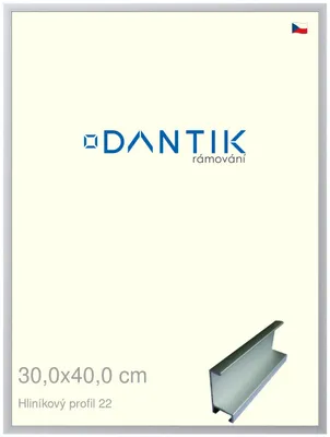 Zdjęcie produktu dla Rama DANTIK 30x40 | Profil ALU 7022 Srebrny mat (Plexi Clear)