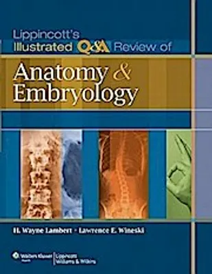Immagine prodotto di Lippincott's Illustrated Q&A Review of Anatomy and Embryology