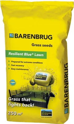 Zdjęcie produktu dla Trawa BARENBRUG Samozagęszczająca Resilient Blue 5 kg ODPORNA NA DEPTANIE