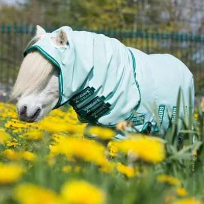 Produktbild von Horseware Rambo Petite Hoody für Shettypony - Ice-Green/Green