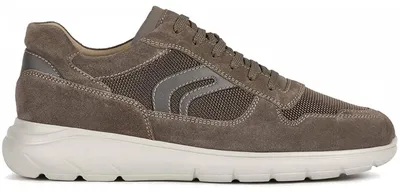 Produktbild von Geox Sestiere Herren Sneaker in Gr. 43