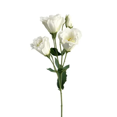 Produktbild von 2474U Kunststielblume Pfingstrose, Künstliche Blume Weiß, 45 cm