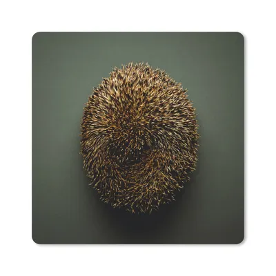 Produktbild von MuchoWow® Mauspad Mousepad Igel - Braun - Grün 20x20 cm - Mousepads - Maus Mat - Pad - Mausunterlage - Desk Mat - Bureauartikeln
