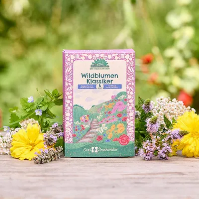 Produktbild von Saatgut-Set „Wildblumen Klassiker“ – 6 Sorten samenfeste Wildblumensamen – Bechermalve, Kornblume, Sonnenhut, Mohn u.a. – Nachhaltig verpackt im Zuckerrohrpapier – Geschenkidee für Naturfreunde