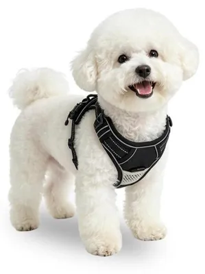Image de Harnais pour chien, réglable, anti-traction, respirant, avec bandes réfléchissantes, couleur noire, taille S