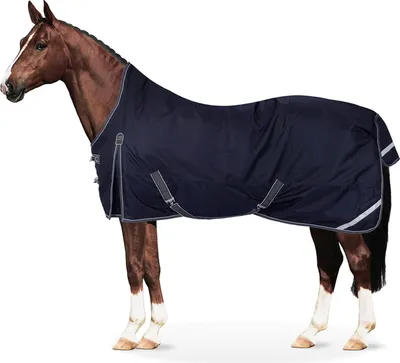 Produktbild von Equinate wasserdichte Regendecke Oakland mit Fleeceinnenfutter 165cm Navy