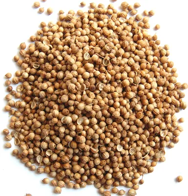 Produktbild von Räucherwerk, Koriander, 100 g