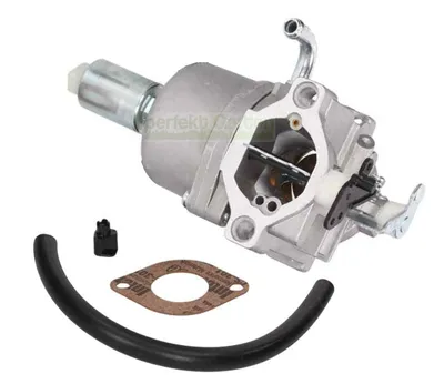Immagine prodotto di Carburatore per Briggs & Stratton 14-19 HP OHV 310000 591731 594593 794572 796109
